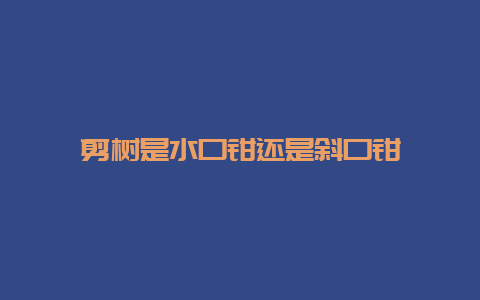 剪树是水口钳照旧斜口钳__必博Bibo手艺_第1张