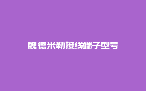 魏德米勒接线端子型号__必博Bibo知识_第1张